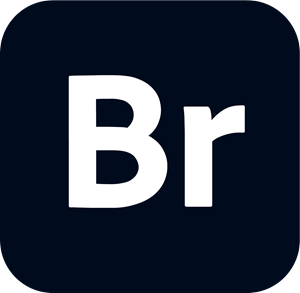 adobe-bridge-logo-DC77AB7485-seeklogo.com