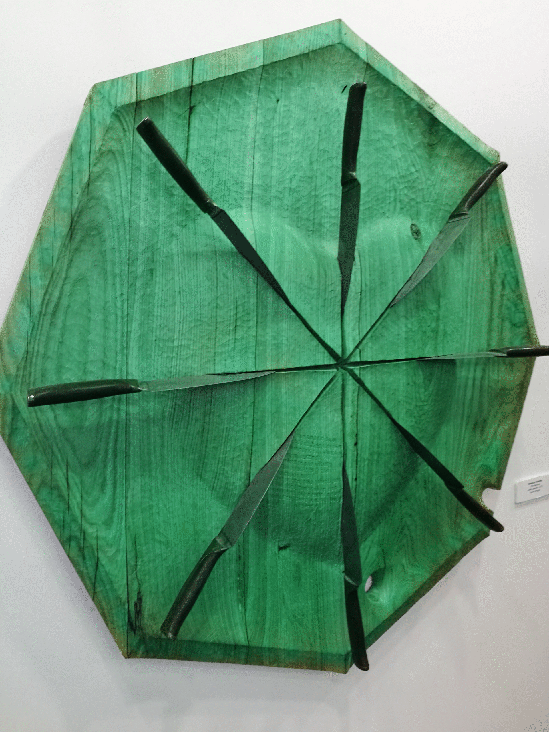 IMG_20180607_165048 (1)